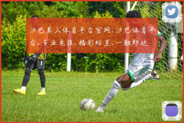 沙巴真人体育平台官网,沙巴体育平台,专业竞技,精彩纷呈,一触即达