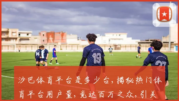 沙巴体育平台是多少台,揭秘热门体育平台用户量,竟达百万之众,引关注